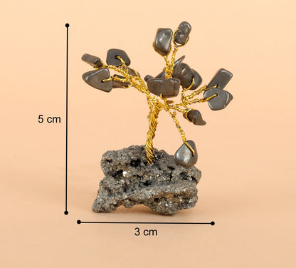Hariaura Pyrite Tree