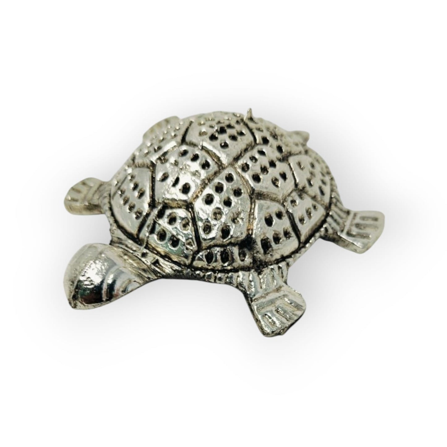 Hariaura Tortoise Plate